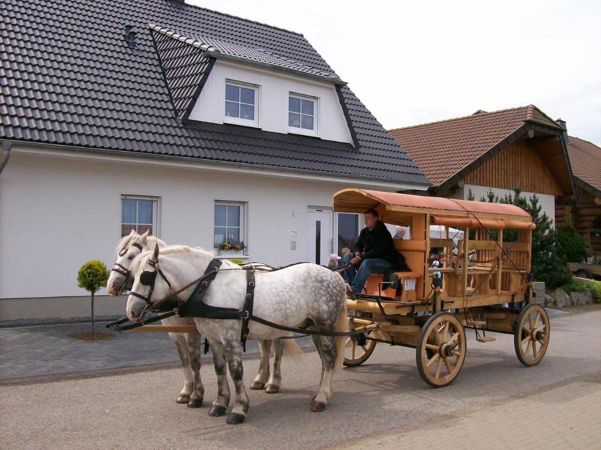 Bed and Breakfast Gastehaus „Haus Am Hahnenberg“ à Marmagen Extérieur photo
